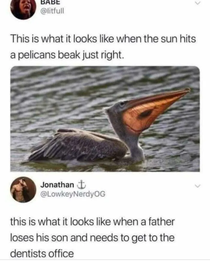 This Facebook Page Is All About Random Memes, Here Is A Selection Of The Funniest (50 Pics)