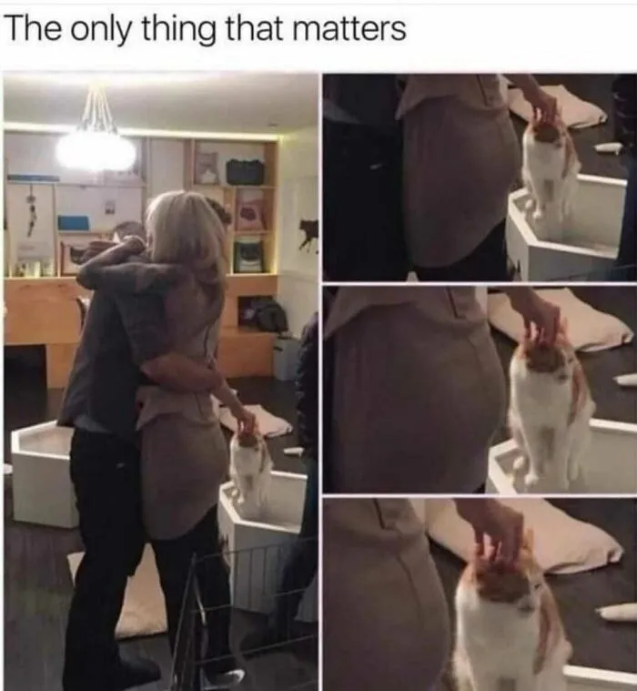 This Facebook Page Is All About Random Memes, Here Is A Selection Of The Funniest (50 Pics)