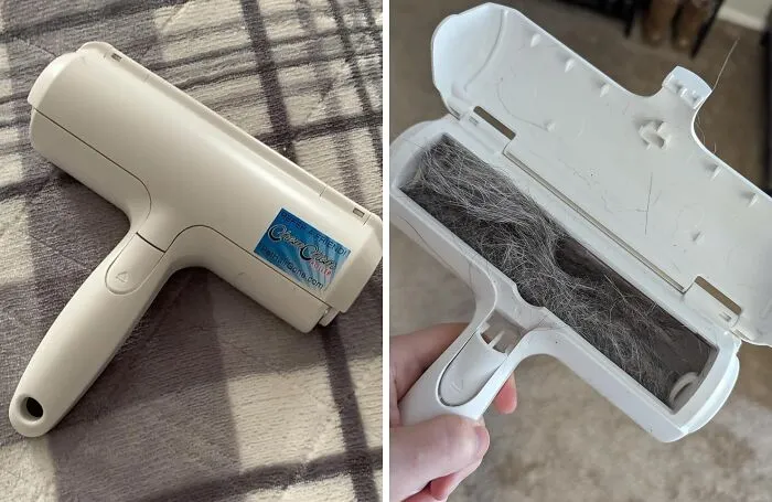 <span Style="Font: Inherit; Color: #d74b1f;"> Chom Chom Roller</Span>: The Fur-Ocious Fur Remover Your Furniture Has Been Begging For