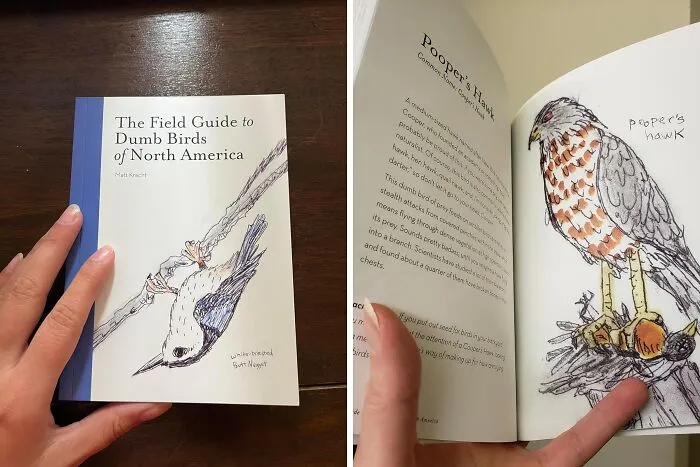 "<span Style="Font: Inherit; Color: #d74b1f;"> The Field Guide To Dumb Birds Of North America</Span>": The Hilariously Snarky Guide To The Feathered Idiots In Your Backyard