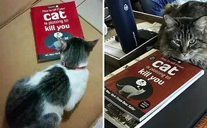32 Books That Are So Strange, You'll Have To Read Them Just To Believe They're Real