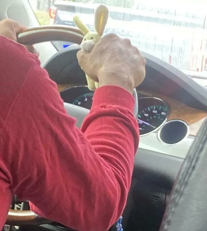 Mi conductor sostiene un peluche mientras conduce