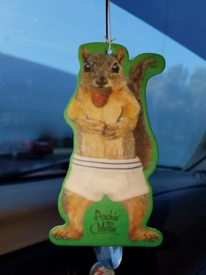  This Ain't Your Grandma's Air Freshener: <a Style="Display:inline;" Href="Https://Www.amazon.com/Accoutrements-Squirrel-Underpants-Deluxe-Freshener/Dp/B00zak89da?ie=utf8&linkcode=ll1&tag=bpfox-20&linkid=69f32158aaa1df7b2cff660ed023e373&language=en_us&ref_=as_li_ss_tl" Target="_blank"><span Style="Font: Inherit; Color: #d74b1f;"> Mcphee's Squirrel In Underwear</Span> Will Make You Chuckle Every Time You Get In The Car