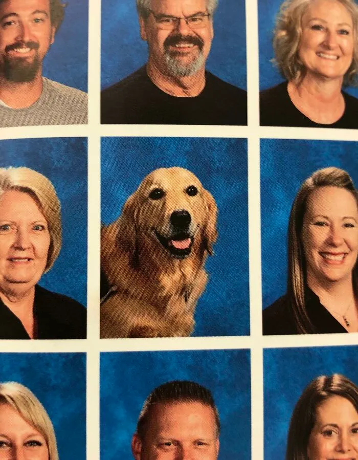 Our School’s Service Dog, Lucy, Made It Into The Staff Page Of The Yearbook