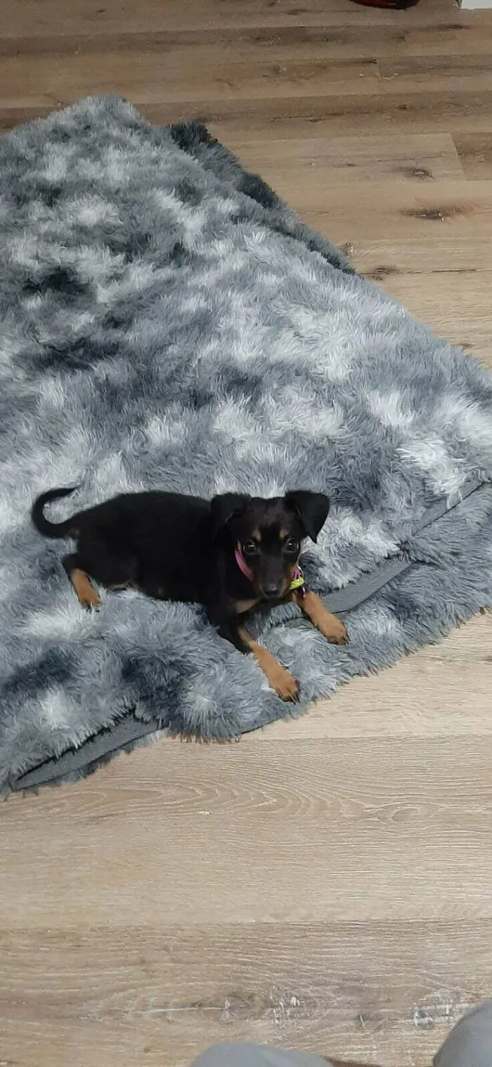 Hi I'm Nina, I Was Adopted
