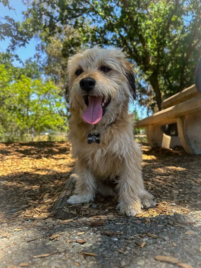 Recently Adopted My New Best Buddy, Freddie!