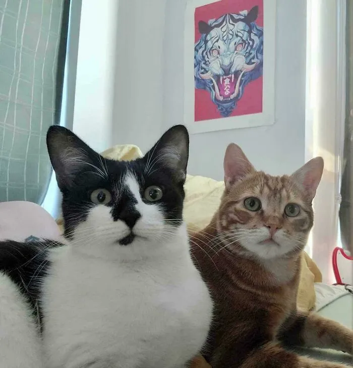 My Grandchildren, No One Wanted Them. One Is Wobbly The Other Has Epilepsy. My Kind Son And His Gentle Fiancée Adopted Them. They Are Pure Joy!