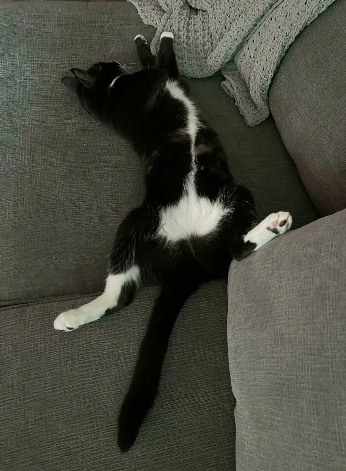 Adopted Barely Six Hours Ago