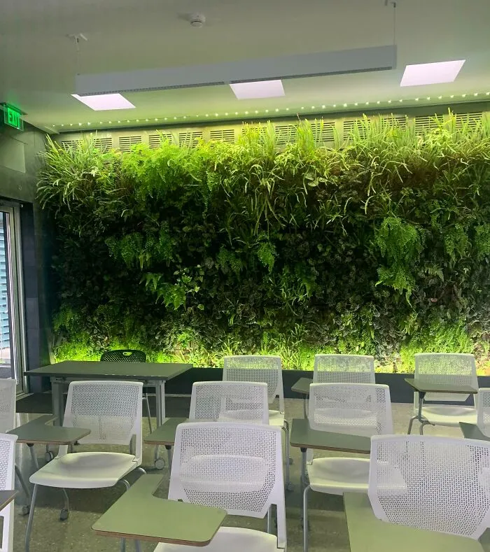 My Environmental Science Class With Real Plants On The Wall