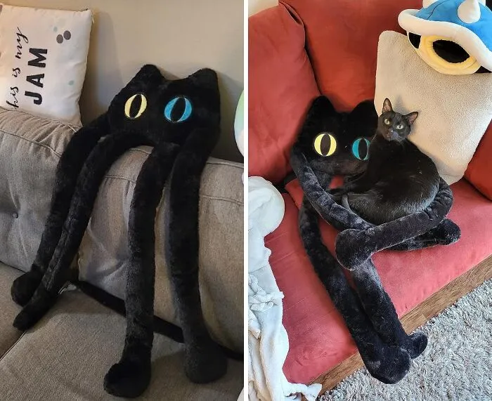   <a Style="Display:inline;" Href="Https://Www.amazon.com/Pillow-Stuffed-Animals-Plushies-Girlfriend/Dp/B0bqgs2nt8?crid=3s5s34h66t9fu&dib=eyj2ijoimsj9.k2qhulyz5mv2tcjemz_-V-Ggvgjain2bxvsehxqqwhuey3aivbjpu6rssj7vtsoxe-Zr1megoimge5lso-Ozkipy4yr6mvn6yk8mccetm_cx8nnpbfcu7h6bift_2dftt_gbmzv1klvr7ad1ns2befhpotbabuiigfyhklosvqr2twv4vshdzpqctdimraym1j-Qkikuibsycvvndrjjkqft25yvzv_gksdhosemkxvftvbc__cnqfzl0eox3w7nmpnqpn82ub4j7odja3xw6cmp9mvgo2bhdcv4eccik00.n0zhel3gut7n2z_1riwraf-Ccwyiev0dszrtdw435i8&dib_tag=se&keywords=weird%2bplushies&qid=1718889185&sprefix=weird%2bp%2caps%2c248&sr=8-7&th=1&linkcode=ll1&tag=bpcrocodile-20&linkid=bc76bbdc7bcfffa6a3ced33389419f09&language=en_us&ref_=as_li_ss_tl"_blank"><span Style="Font: Inherit; Color: #d74b1f;"> Long Cat Plush Pillow</Span>: Your New Feline Friend, Minus The Litter Box