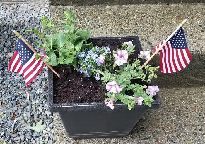 Let Freedom Ring With A <a Style="Display:inline;" Href="Https://Www.amazon.com/Dp/B01gkhnypo?ascsubtag=&linkcode=ll1&tag=bplemur-20&linkid=f1349bda23df6c5a762d5ed531cb4058&language=en_us&ref_=as_li_ss_tl"_blank"><span Style="Font: Inherit; Color: #d74b1f;">12-Pack Of Small Flags Made In The USA</Span>, A Simple Yet Powerful Symbol Of American Pride And Unity