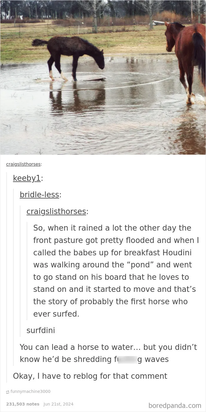 50 Replies That Were Funnier Than The Original Post