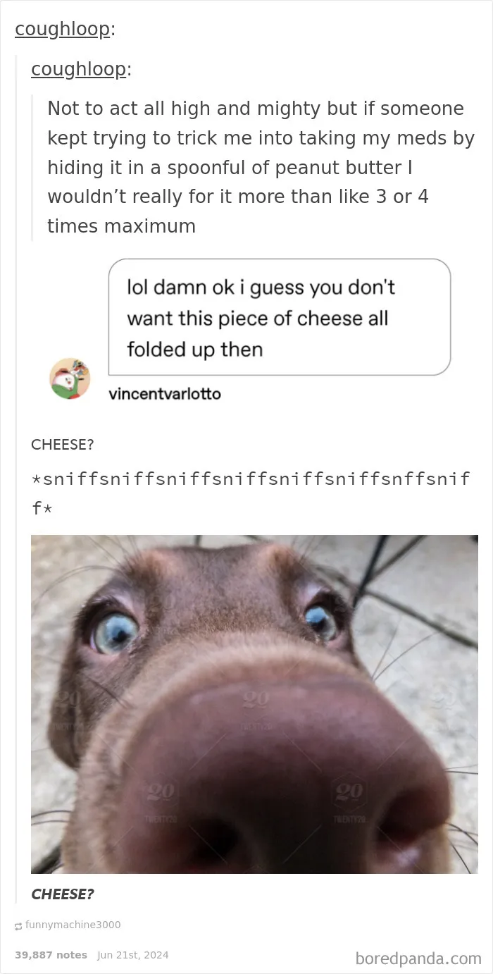 50 Replies That Were Funnier Than The Original Post
