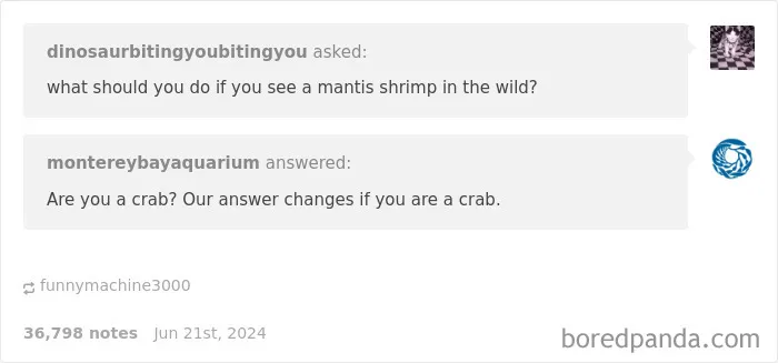50 Replies That Were Funnier Than The Original Post