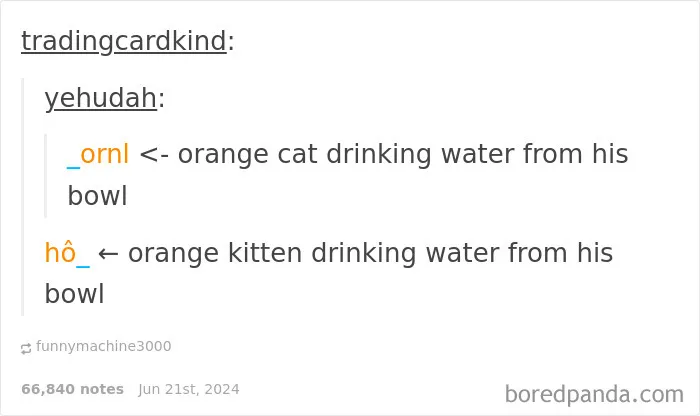 Text post showing a funny reply involving orange cat and kitten drinking water, highlighting funnier replies than original.