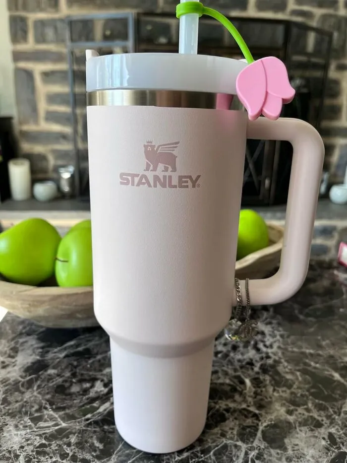The <span Style="Font: Inherit; Color: #d74b1f;"> Stanley Quencher H2.0 Flowstate</Span> Might Just Be The Most Wished-For Item On Amazon, Ever