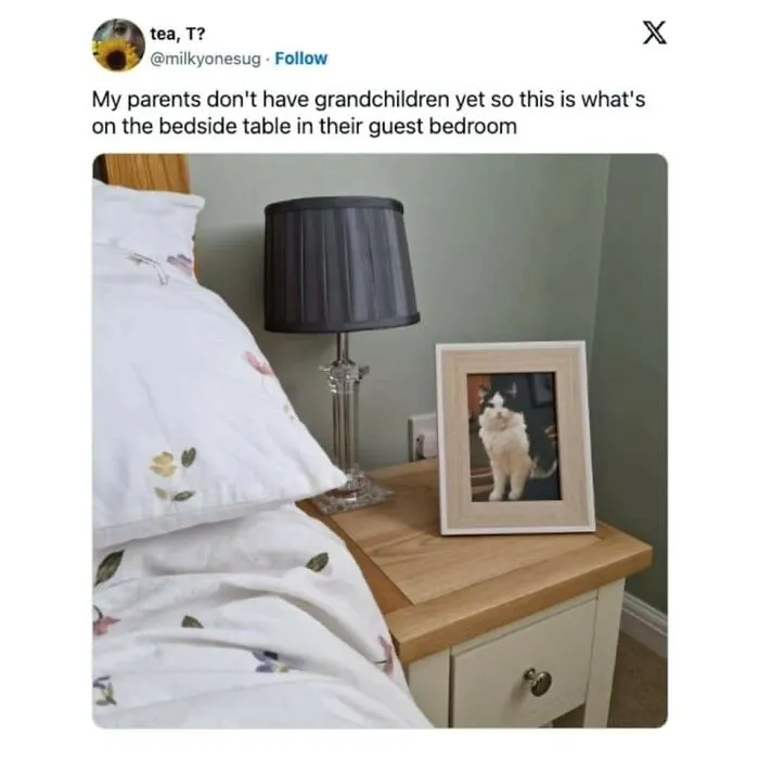 ‘Animals With Vibing Auras’: 50 Hilarious Pics Of Creatures Doing Random Things