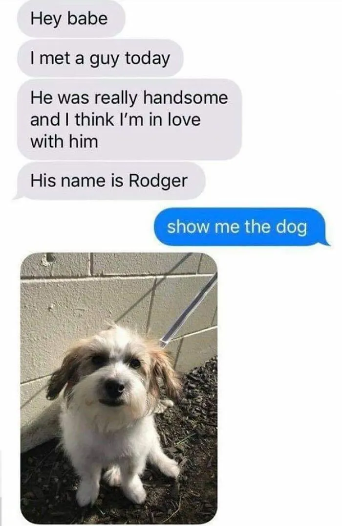 50 Soul-Healing Dog Memes That Are Cute And Funny At The Same Time