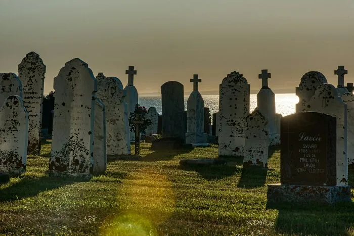 32 Facts About The Middle Ages That Are 100% True Despite Being Quite Weird
