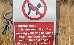 50 Hilarious New Pics In The “Give Me A Sign” Facebook Group’s Collection