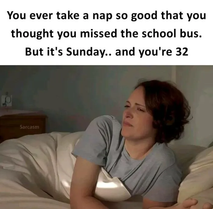 50 Hilarious Memes To Brighten Up Your Day