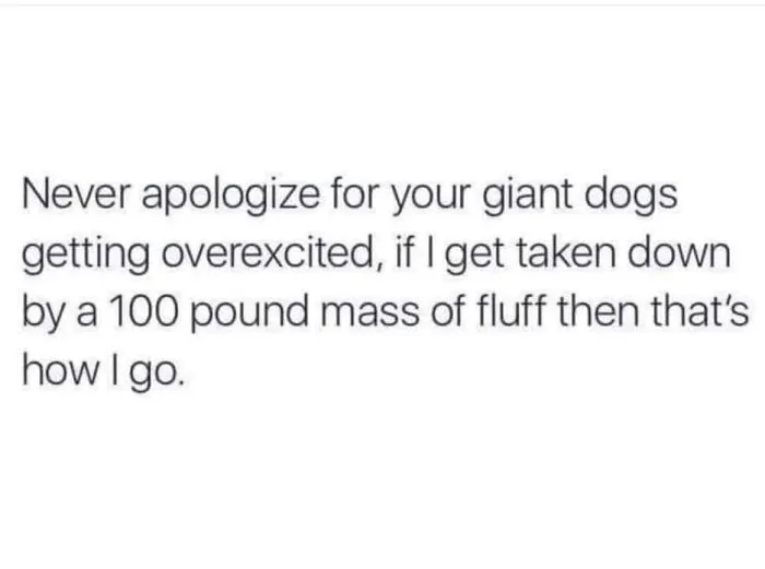 Hilarious-Dog-Memes