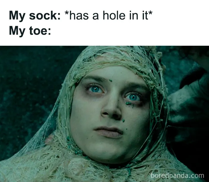 "One Meme To Rule Them All": 50 Hilarious LOTR Memes from Dedicated Fans