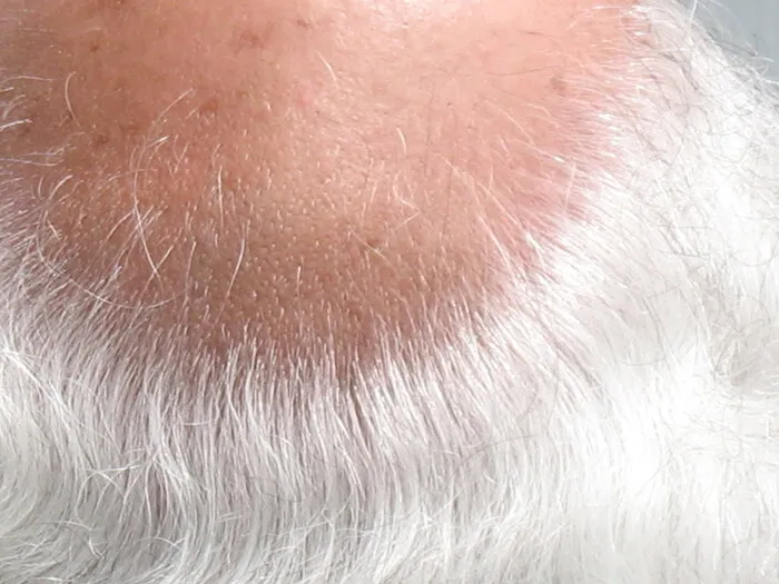 26 Things That Were Considered Necessities In 2014, But Are Practically Extinct Now