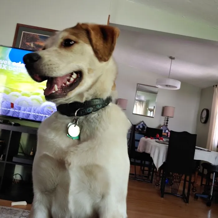 He Smiles Like This All The Time