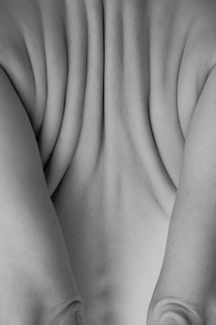 "Transcending Familiarity" By Julia Wimmerlin