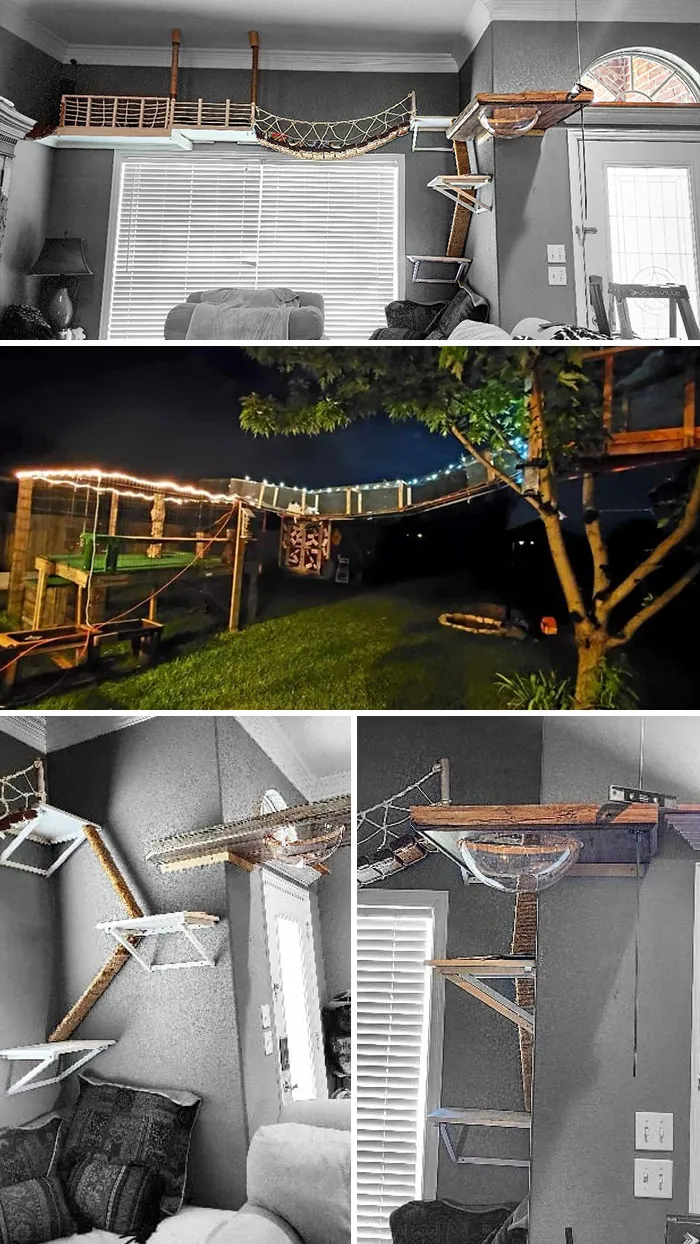 30 Times Creative People Came Up With Cool DIY Ideas To ‘Catify’ Their Homes