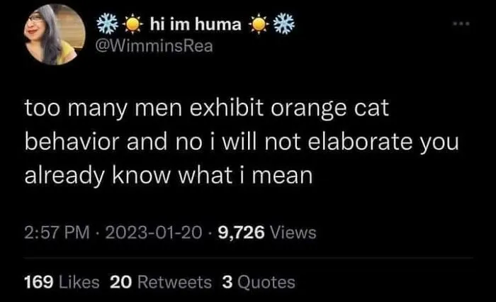 If You're Having A Rough Day, These 50 Wholesome Cat Pics And Memes May Cheer You Up