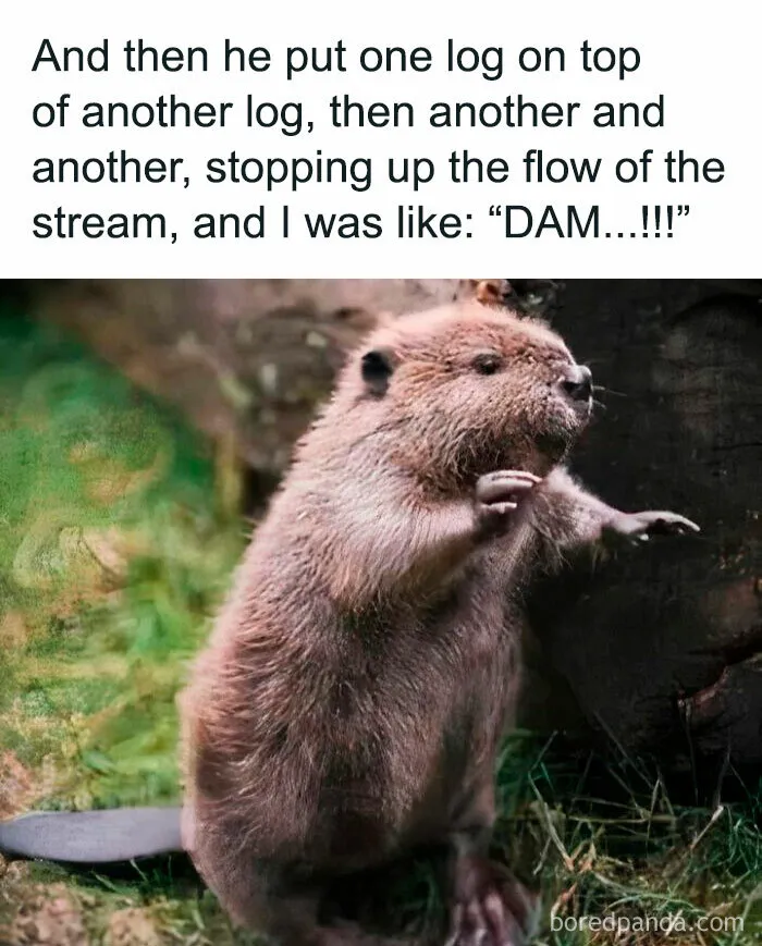 This Facebook Page Shared 50 Funny Puns That Deserve More Appreciation