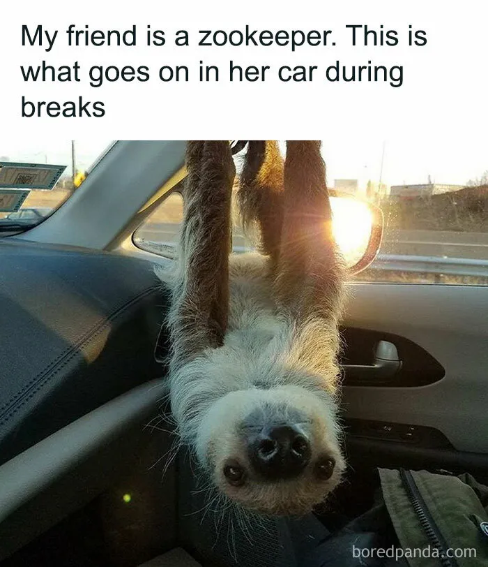 50 Positive And Uplifting Pics From The “Wholesome Meets The Internet” Page