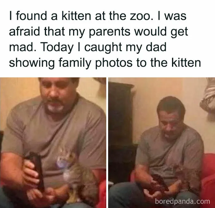 50 Positive And Uplifting Pics From The “Wholesome Meets The Internet” Page