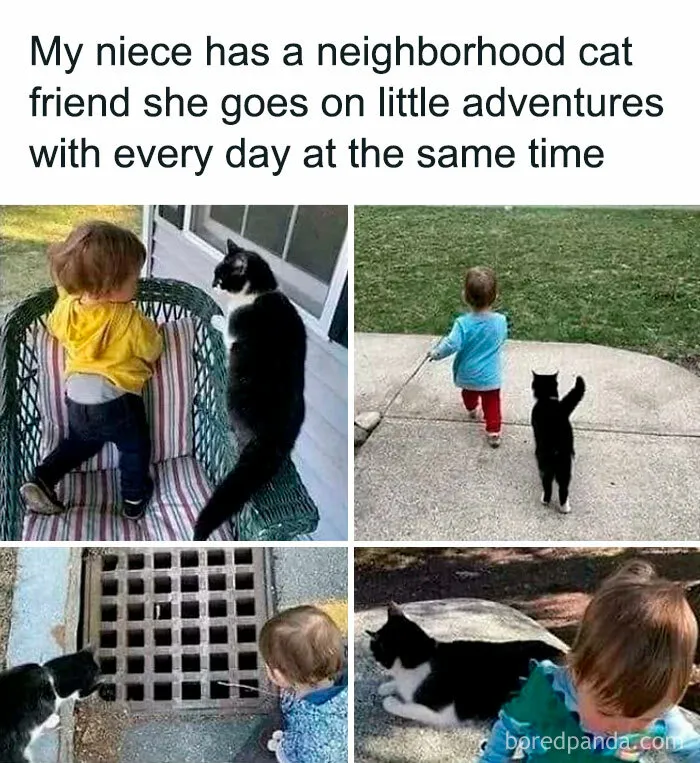 50 Positive And Uplifting Pics From The “Wholesome Meets The Internet” Page