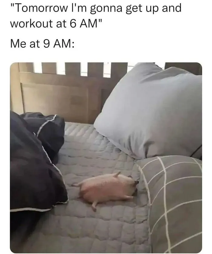 30 Memes That Introverts Might Recognize Themselves In, Shared By This IG Account