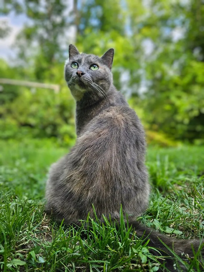Her Royle Majesty, Maysee Gray