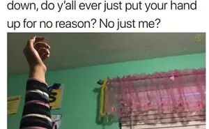 50 Hilarious Memes To Brighten Up Your Day