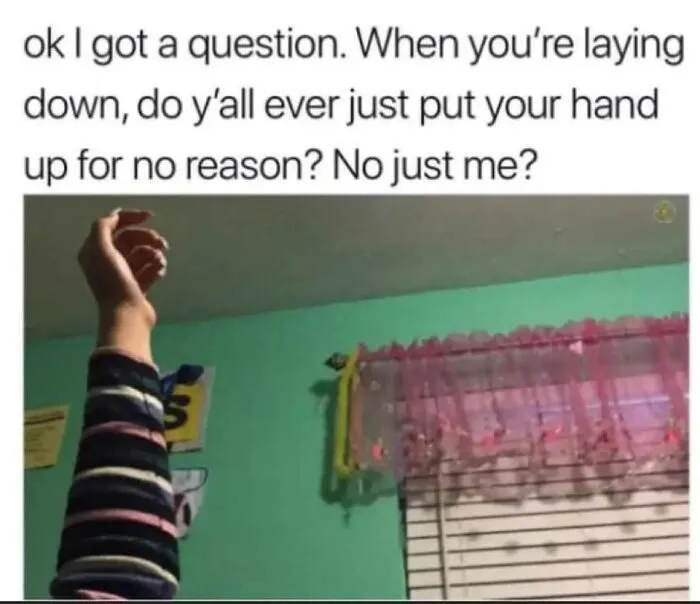 50 Hilarious Memes To Brighten Up Your Day