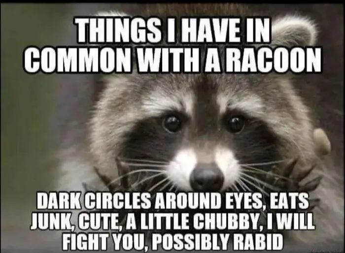 50 Hilarious Memes To Brighten Up Your Day