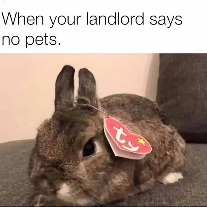 50 Hilarious Memes To Brighten Up Your Day