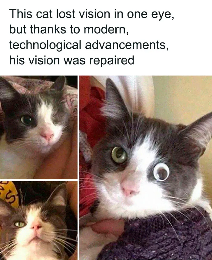 We Have The Technology. We Can Rebuild Him