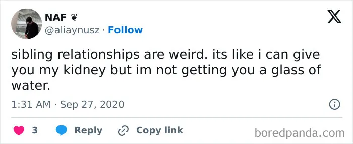50 Sibling Rivalry Tweets That Everyone With A Brother Or Sister May Find Familiar