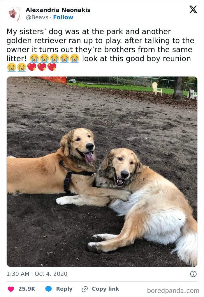50 Positive And Uplifting Pics From The “Wholesome Meets The Internet” Page
