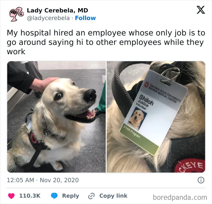 This Is Awesome