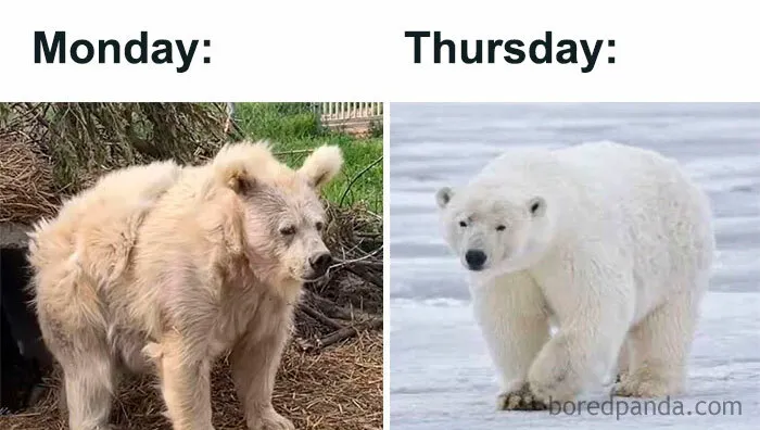 How I Look on Monday vs How I Look on Thursday 
