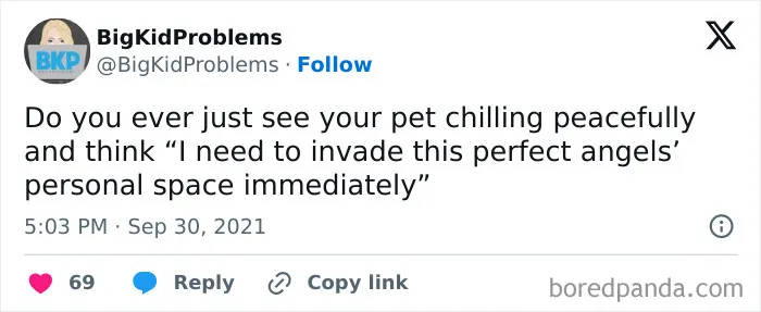 "For Those Still Figuring It Out": 50 Hilarious Memes That Are 100% Relatable