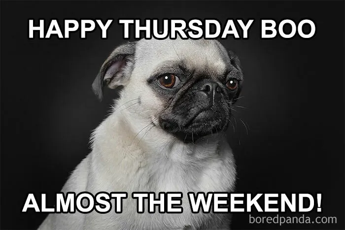 “Happy Thursday Boo”