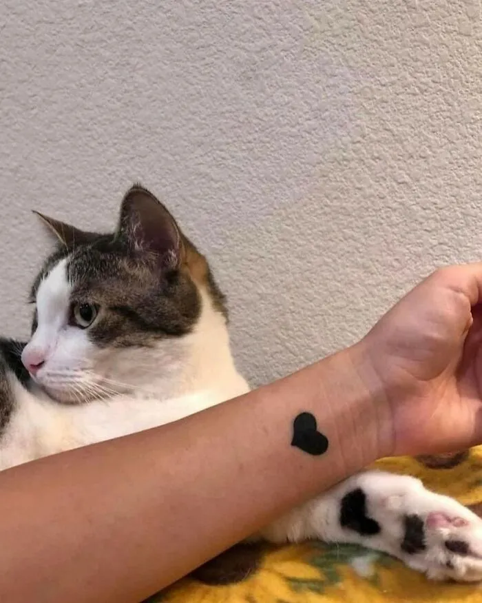 50 Magical Photos That Prove Cats Are Truly A Blessing, As Shared On This Instagram Page